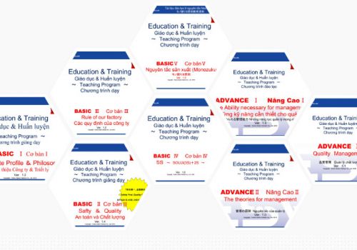 Chương trình đào tạo